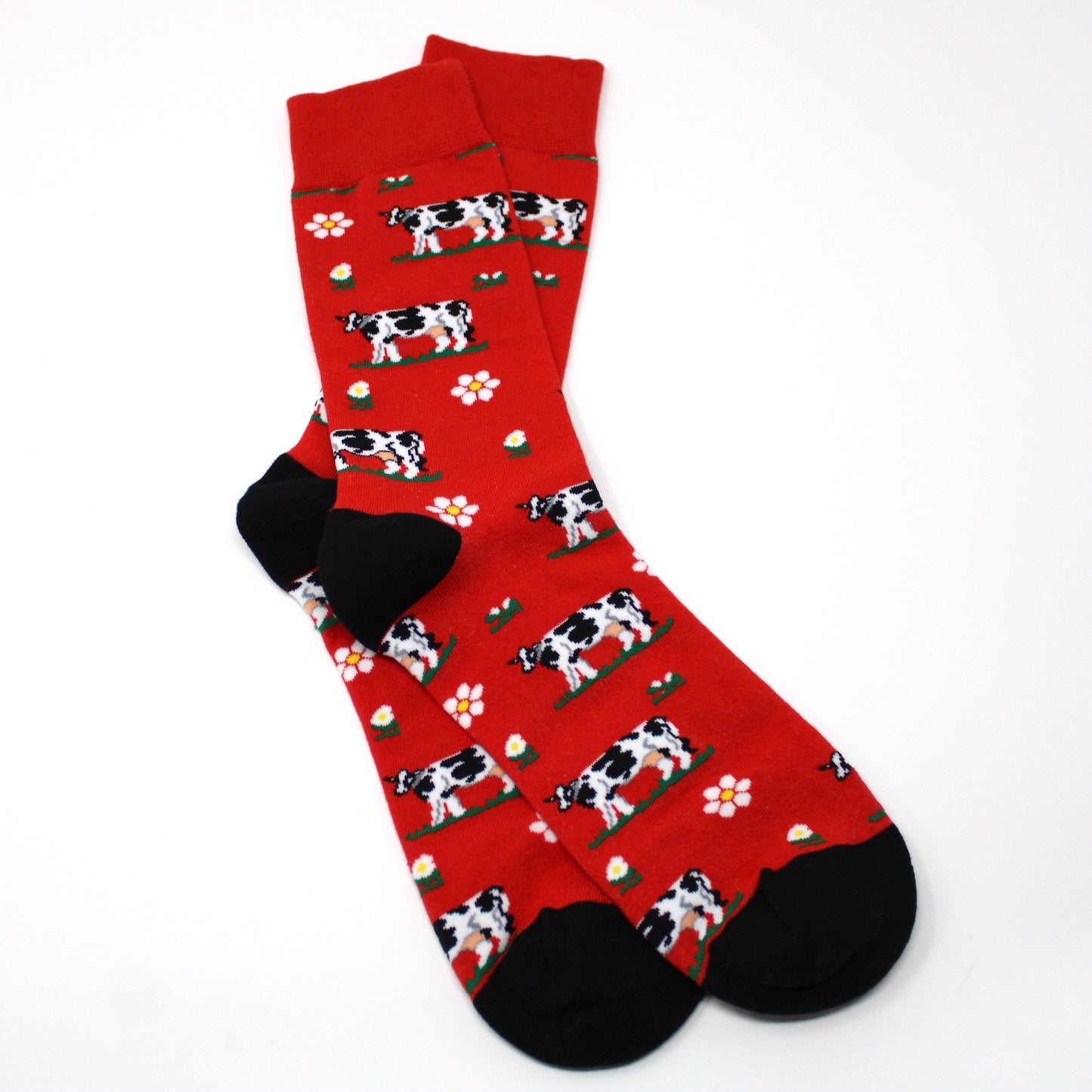 Cows on Red Socks