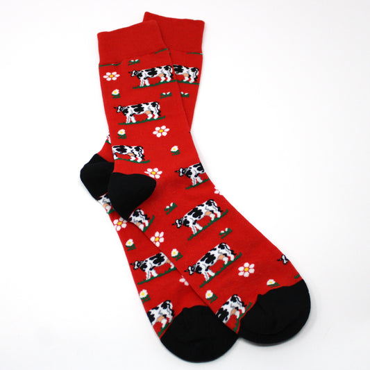 Cows on Red Socks
